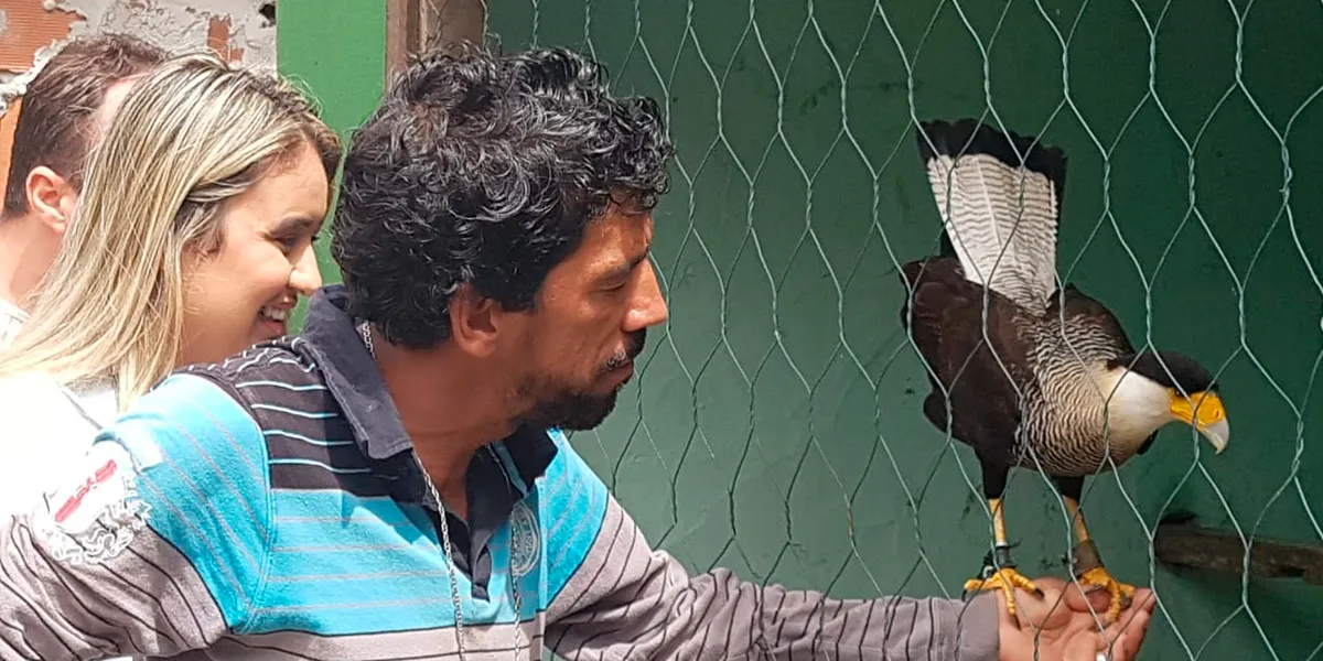 Visita - Parque dos Falcoes