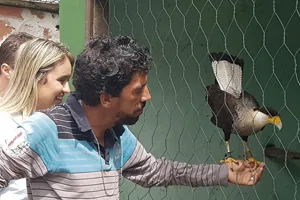 Visita - Parque dos Falcoes